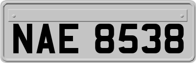 NAE8538