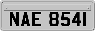 NAE8541