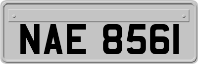 NAE8561