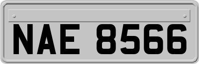 NAE8566