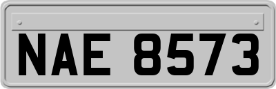 NAE8573