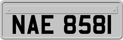 NAE8581