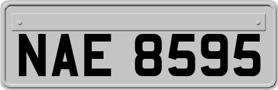 NAE8595