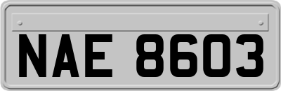 NAE8603