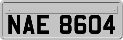 NAE8604