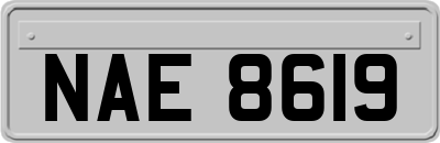 NAE8619