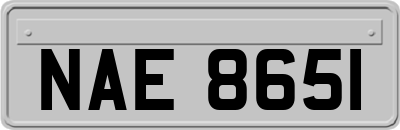 NAE8651