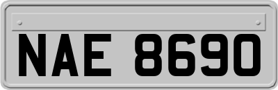 NAE8690