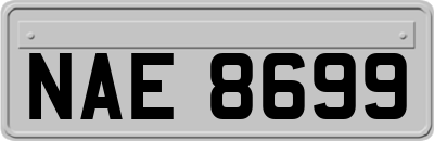 NAE8699