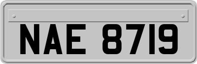 NAE8719