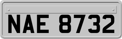 NAE8732