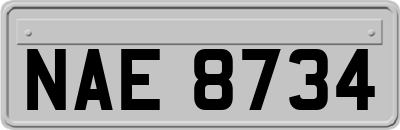 NAE8734