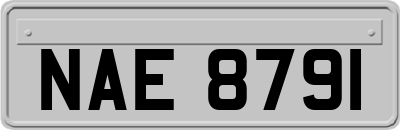 NAE8791