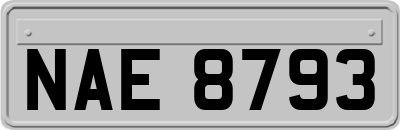 NAE8793