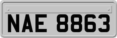 NAE8863