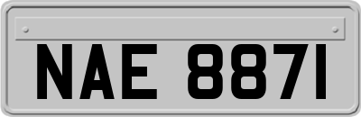 NAE8871