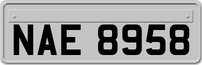 NAE8958