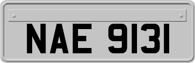 NAE9131