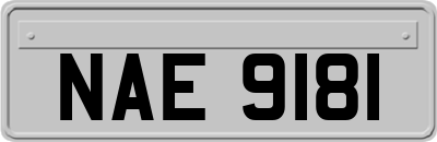 NAE9181
