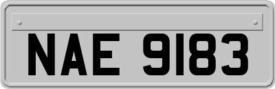 NAE9183