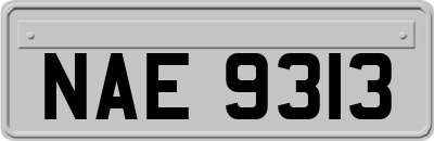 NAE9313