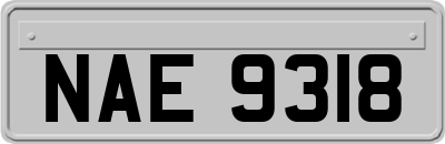 NAE9318