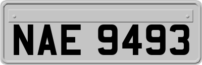 NAE9493