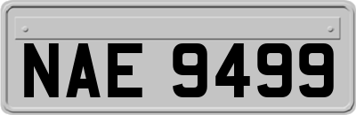 NAE9499