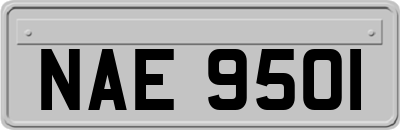 NAE9501