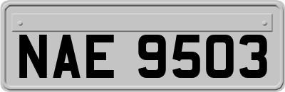 NAE9503