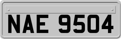 NAE9504