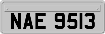 NAE9513