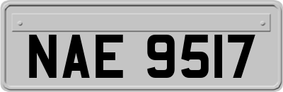 NAE9517