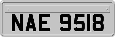 NAE9518