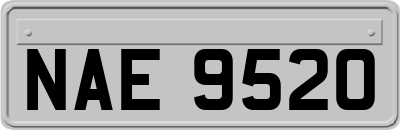 NAE9520