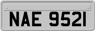 NAE9521