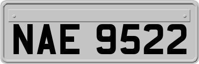 NAE9522