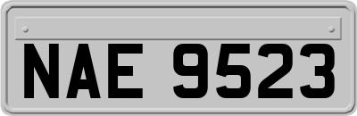 NAE9523