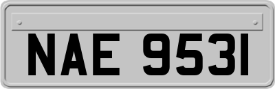 NAE9531