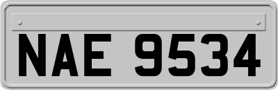 NAE9534