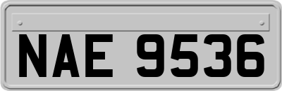 NAE9536