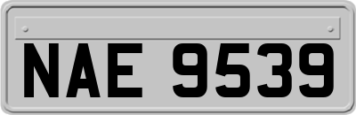 NAE9539