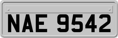 NAE9542