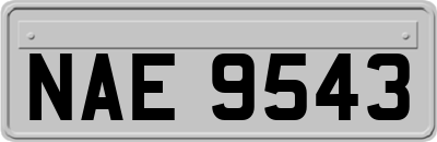 NAE9543