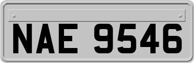 NAE9546