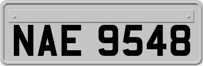 NAE9548