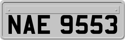 NAE9553