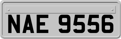 NAE9556