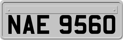 NAE9560