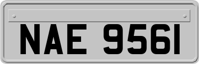 NAE9561